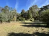 12 B Forest Street, Trentham, Vic 3458-Image