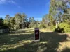 12 B Forest Street, Trentham, Vic 3458-Image