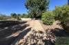 12 Bakhash Street, Mount Isa, Qld 4825-Image