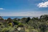 12 Bayview Road, McCrae, Vic 3938-Image