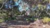 12 Brownlow Crescent, Kingscote, SA 5223-Image