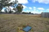 12 Claret Ash Drive, Guyra, NSW 2365-Image