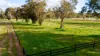 12 Danehill Street, Darling Downs, WA 6122-Image