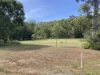 12 Grass Tree Court, Cardwell, Qld 4849-Image