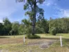 12 Grass Tree Court, Cardwell, Qld 4849-Image