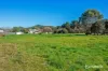 12 Irwell Street, Zeehan, Tas 7469-Image