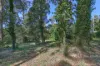 12 Lakeside Drive, Emerald, Vic 3782-Image