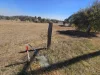 12 LILLY STREET, Goombungee, Qld 4354-Image