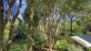 12 McBean Road, Karragarra Island, Qld 4184-Image