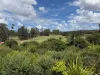 12 McKie Cresent, Cannon Hill, Qld 4170-Image