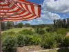 12 McKie Cresent, Cannon Hill, Qld 4170-Image