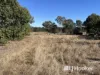 12 Otto Road, Glenore Grove, Qld 4342-Image