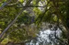 12 Payne Road, Beaconsfield, Vic 3807-Image
