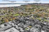 12 Rooding Street, Brighton, Vic 3186-Image