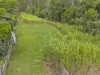12 Selwyn Street, Imbil, Qld 4570-Image