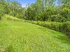 12 Selwyn Street, Imbil, Qld 4570-Image