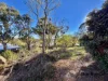12 White Street, Stanthorpe, Qld 4380-Image