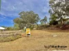 12 White Street, Stanthorpe, Qld 4380-Image