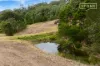 1209 Mount View Road, Mount View, NSW 2325-Image