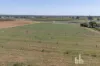 121 Elephant Trunk Road, Barmera, SA 5345-Image