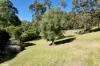 121 Stirling Road, Metung, Vic 3904-Image
