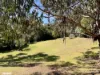 121 Stirling Road, Metung, Vic 3904-Image