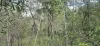 122 Archookoora Rd, Goodger, Qld 4610-Image