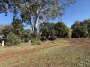 122 Euchie Street, Peak Hill, NSW 2869-Image