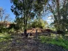 122 Euchie Street, Peak Hill, NSW 2869-Image