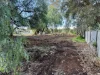 122 Euchie Street, Peak Hill, NSW 2869-Image