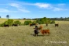 122 Fitzpatrick Road, The Dawn, Qld 4570-Image