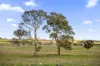 122 Olleys Gate Lane, Springrange, NSW 2618-Image