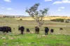 122 Olleys Gate Lane, Springrange, NSW 2618-Image