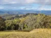1226 Rivertree Road, Liston, NSW 2372