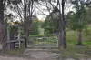 1226 Rivertree Road, Liston, NSW 2372-Image
