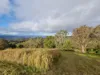 1226 Rivertree Road, Liston, NSW 2372-Image