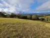 1226 Rivertree Road, Liston, NSW 2372-Image