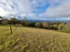 1226 Rivertree Road, Liston, NSW 2372-Image