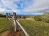 1226 Rivertree Road, Liston, NSW 2372-Image