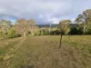1226 Rivertree Road, Liston, NSW 2372-Image