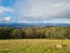 1226 Rivertree Road, Liston, NSW 2372-Image