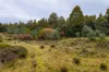 1239 Strickland Road, Strickland, Tas 7140-Image