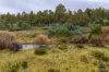 1239 Strickland Road, Strickland, Tas 7140-Image