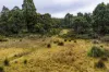 1239 Strickland Road, Strickland, Tas 7140-Image