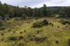 1239 Strickland Road, Strickland, Tas 7140-Image