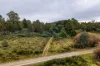 1239 Strickland Road, Strickland, Tas 7140-Image