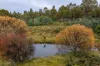 1239 Strickland Road, Strickland, Tas 7140-Image