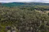 1239 Strickland Road, Strickland, Tas 7140-Image