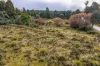 1239 Strickland Road, Strickland, Tas 7140-Image
