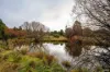 1239 Strickland Road, Strickland, Tas 7140-Image